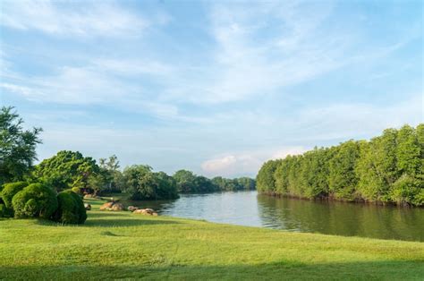 Premium Photo River View With Green Grass Field With Trees And Clear Blue Sky