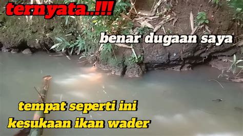 Pas Di Titik Kumpul Ikan Tehnik Yang Tepat Microfishing YouTube