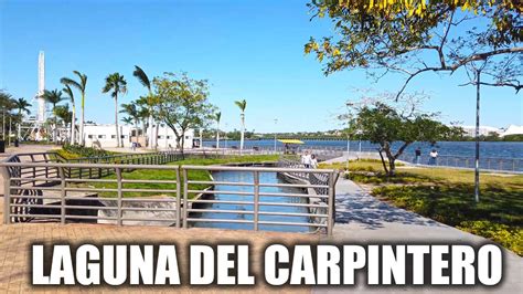 Parque Metropolitano Laguna Del Carpintero Tampico Tamaulipas 2023