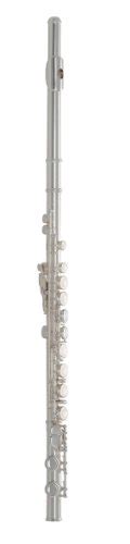 13 Best Selmer Flutes for 2021 - Reviewed & Rated