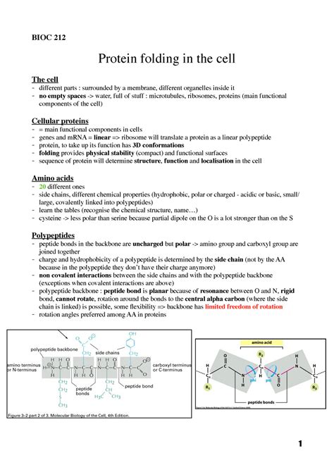 BIOC 212 Protein Folding BIOC 212 Protein Folding In The Cell The