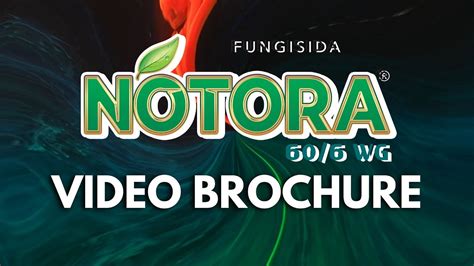 NOTORA 60 6 WG VIDEO BROCHURE PT BIOTIS AGRINDO YouTube