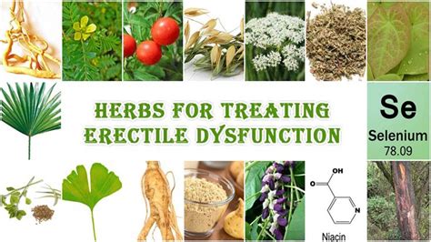 6 Herbs For Treating Erectile Dysfunction Ed Natural Treatment Youtube