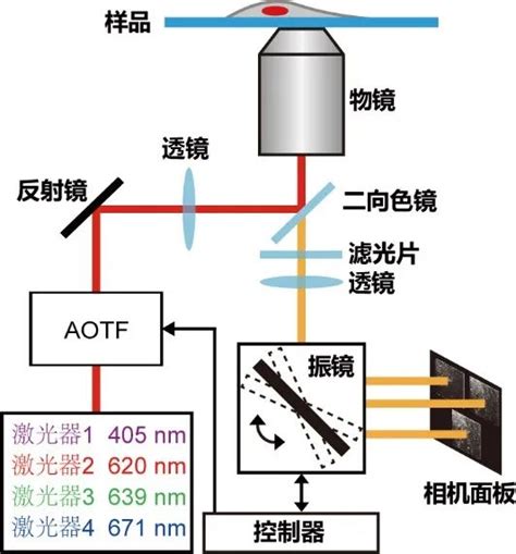 The Xu Tao Ji Wei Team Has Made New Breakthroughs In The Field Of