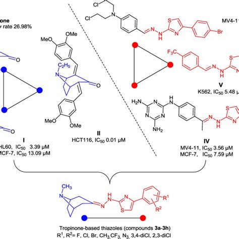 Rational Design Of The Target Tropinone Thiazole Derivatives