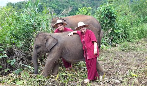 Aa Elephant Rescue Park