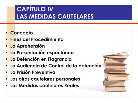 Ppt Cap Tulo Iv Las Medidas Cautelares Powerpoint Presentation Free