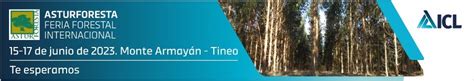 Asturforesta Feria Forestal Internacional En Tineo