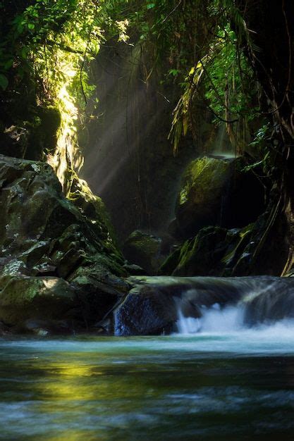 Premium Photo Indonesian Natural Scenery With A Beautiful Waterfall