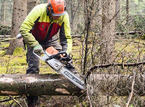 Duell Der Schwergewichte Husqvarna 572 XP Gegen Stihl MS 462 C M