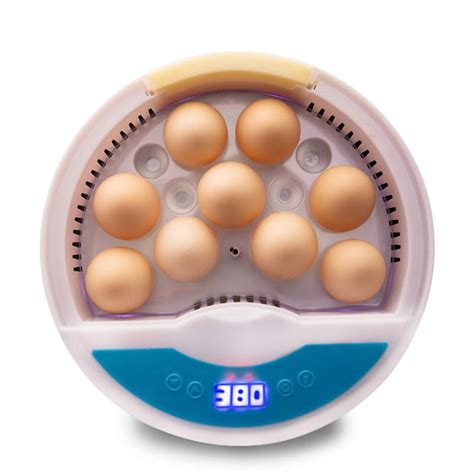 Intelligent Eggs Incubator Hatcher Automatic Digital Eggs Hatching