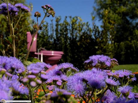 Festival Internacional De Jardins De Ponte De Lima 2009 Ponte De