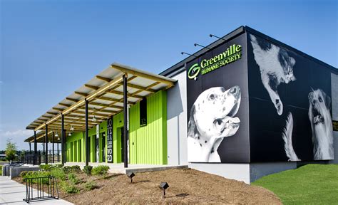 Best 13 Greenville humane society adoption center by mcmillan pazdan