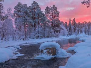 Grass Mountains Trees Viewes Clouds Great Sunsets Fog Sky