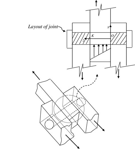 Schematic Illustration Of The 3 D Image And Layout Of Joint Specific