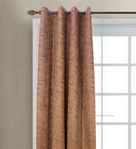 Buy Brown Velvet Solid Ft Blackout Eyelet Curtain By Mfd Home