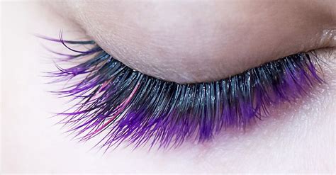 Home Lush Lashes By Erika