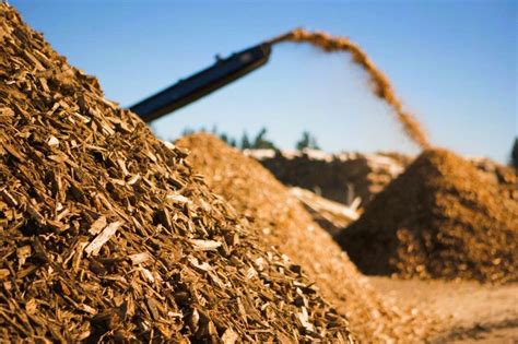 La Biomasse Une Source Dénergie Renouvelable Issue De Lagriculture