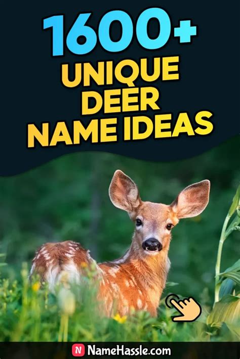 Cool And Funny Deer Names Ideas Generator