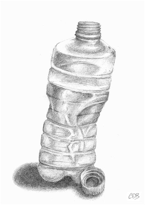 Bottle Sketch - Conor O'Brien Art