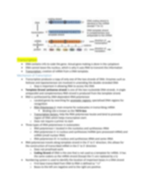 SOLUTION Rna And The Genetic Code Detailed Notes Studypool