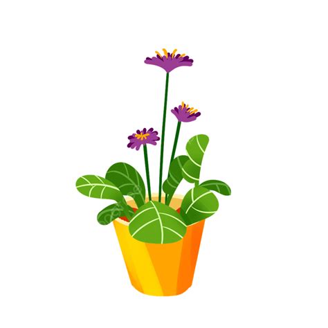 Gambar Tanaman Pot Bunga Menanam Daun Hijau Png Transparan Clipart