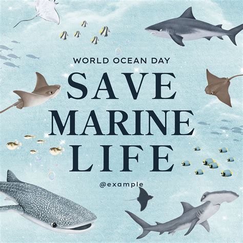 Save Marine Life Instagram Post Free Editable Template Rawpixel