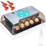 Best Egg Incubators For Chicken Reptiles Birds And More