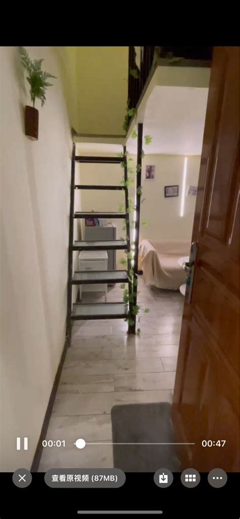 Guangzhou Liwan Loft Sublet Single Apartment Pet Friendly Lgbtq