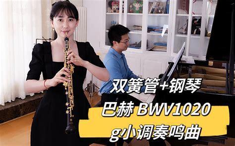 15万的金双簧管首秀来啦！巴赫 Bwv1020 《g小调奏鸣曲》柏林爱乐首席梅耶同款 莫尼克amg155 懂车老王 懂车老王 哔哩哔哩视频