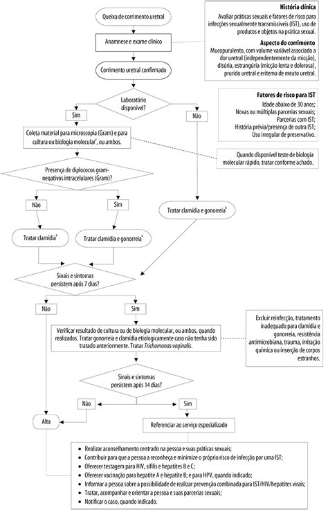 Scielo Brasil Protocolo Brasileiro Para Infecções Sexualmente