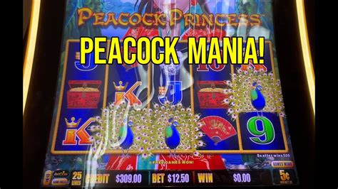 Peacock Princess Dragon Link Slot Machine YouTube