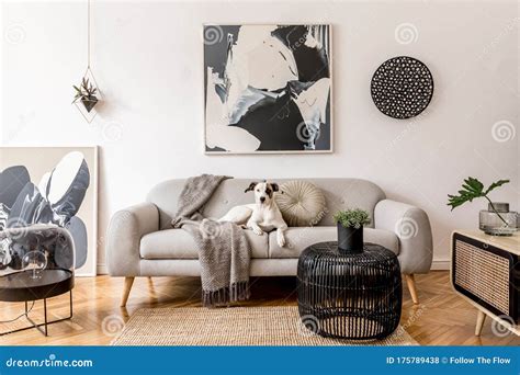 Stylish and Minimalistic Scandinavian Interior in Modern Home with Dog L Laying on the Sofa ...