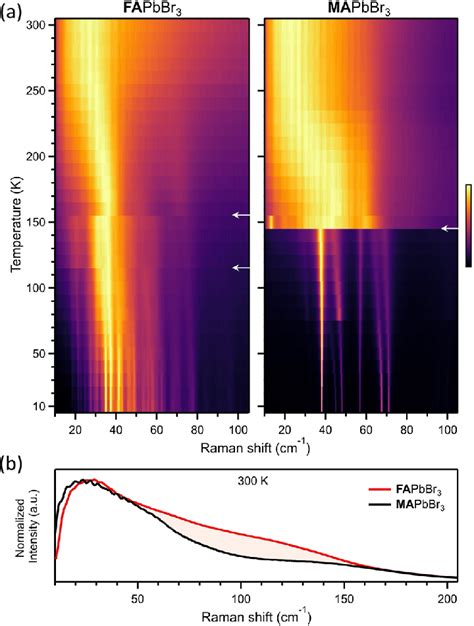 A Temperature Dependent Raman Spectra From 10 To 300 K Measured At Download Scientific