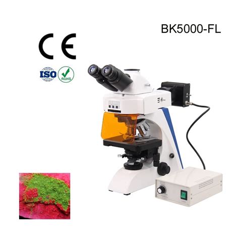 Microscope Premiere Embryos Fluorescence Microscopy Labster For