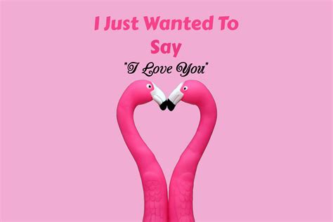 100 Most Romantic Short Love Quotes - Stylinggo