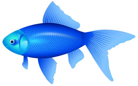 Fish Png Hd Png Pictures Vhvrs