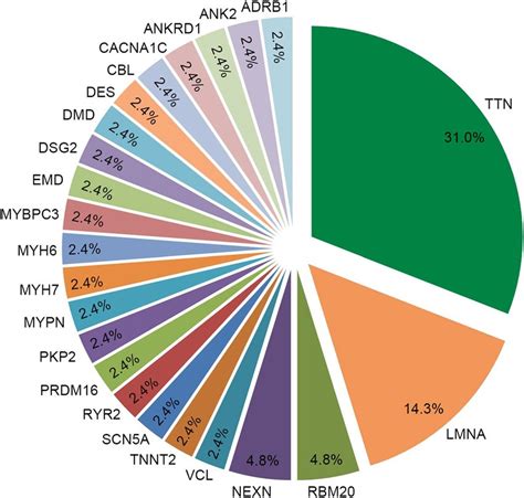 The Distribution Of Pathogenic Or Likely Pathogenic Variants Identified