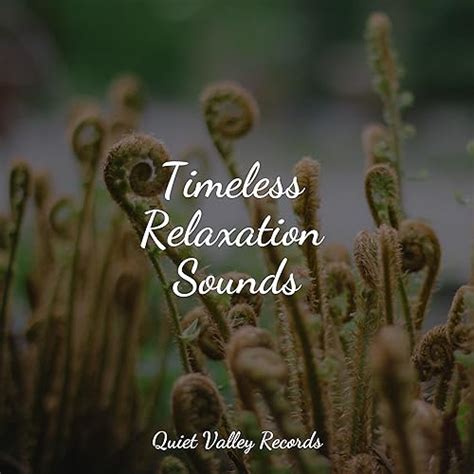 Amazon Music Rain Sounds For Sleepのtimeless Relaxation Sounds