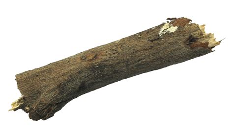 log wood isolate  transparent background png file  png