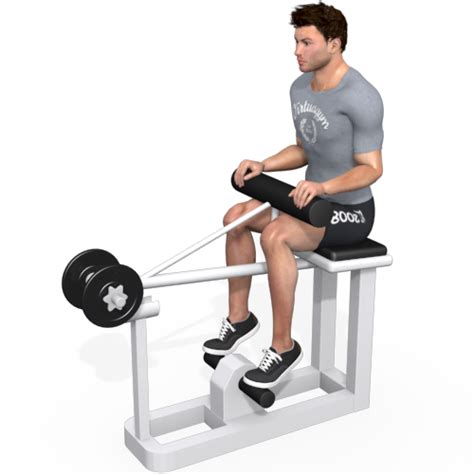 Calf Raise Machine Seated Video Exercise Guide