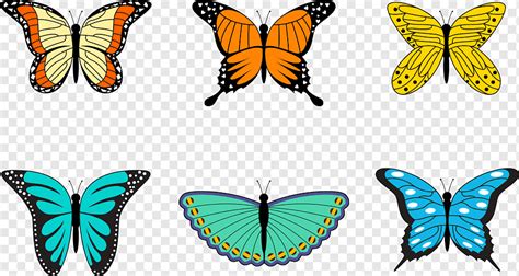 Colorful Butterflies Png Pngwing