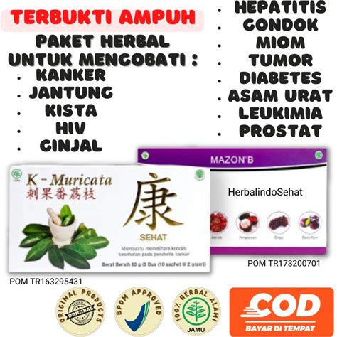 Jual Obat Herbal Kanker Payudara Serviks Rahim Benjolan