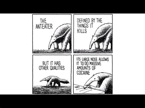 The best Anteater memes :) Memedroid