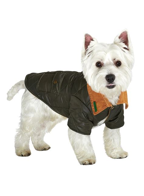 Forest Green Quilted Town And Country Coat Dog Coats At Urban Pup