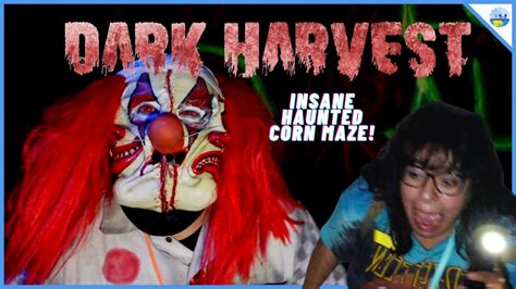 Craziest Haunted Corn Maze In California Dark Harvest Haunted