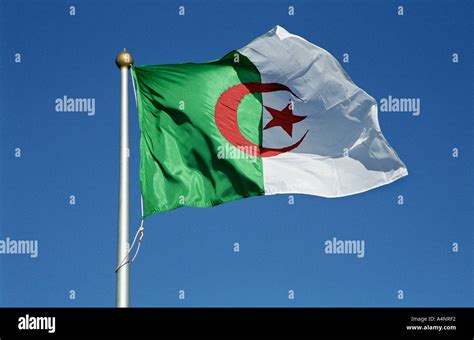 Algerian Flag Hi Res Stock Photography And Images Alamy