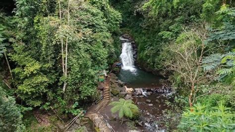 Curug Muara Jaya Apuy Pesona Wisata Air Terjun Eksotis