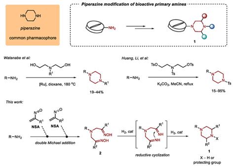 Ijms Free Full Text Building Up A Piperazine Ring From A Primary