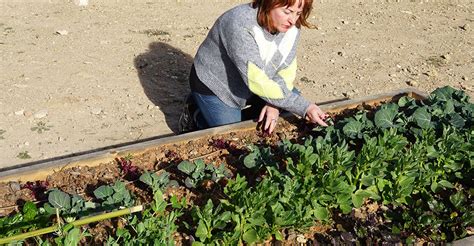 Recogida De Envases De Fertilizantes Y Fitosanitarios El Huerto Urbano